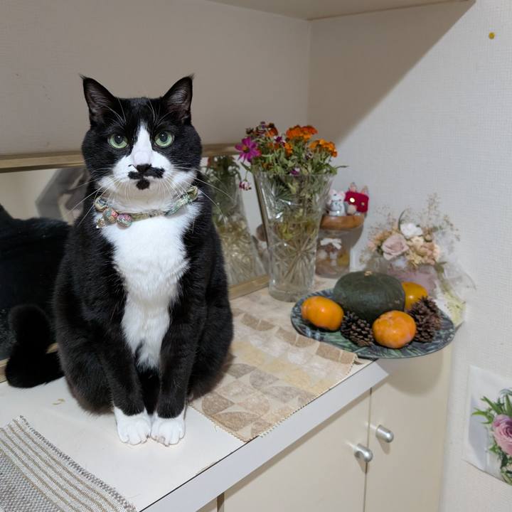 E32fe13c df64 4687 8b62 d4e049234c96 1761911096668