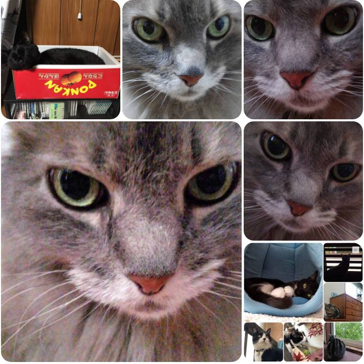 E3300d79 87a6 4000 859f 1eb1a4dabeaf 1556182898361