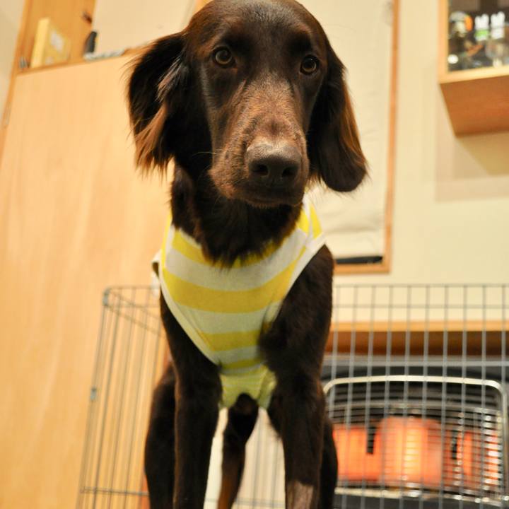 E3302d3c 10df 4ffa a97e 143fd617f300 1580375459929