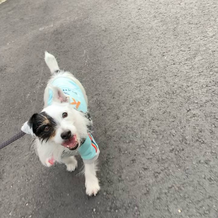 E33068b8 feb8 47b9 88ce c209e26d1633 1707895494375