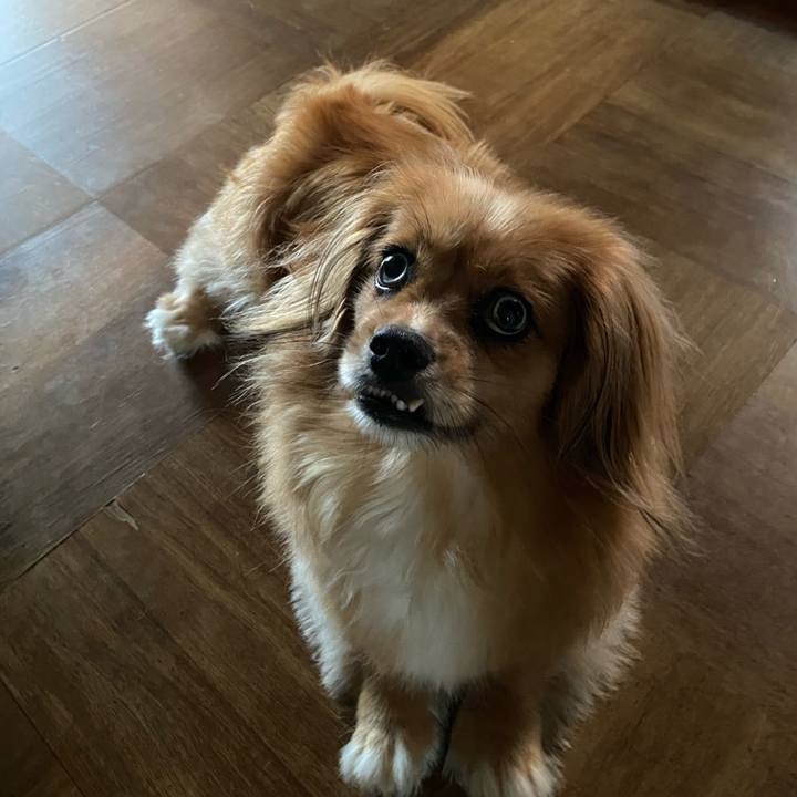 E33078f1 4fa0 4efd aba9 8c60822e846f 1596323415619