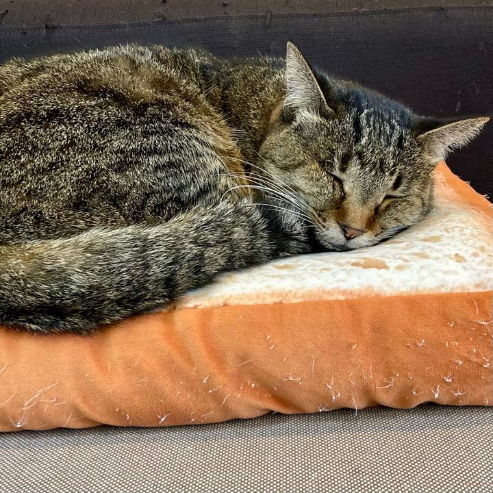 E3307acf bddb 41c5 bbea 4895934b2b61 1643436498705