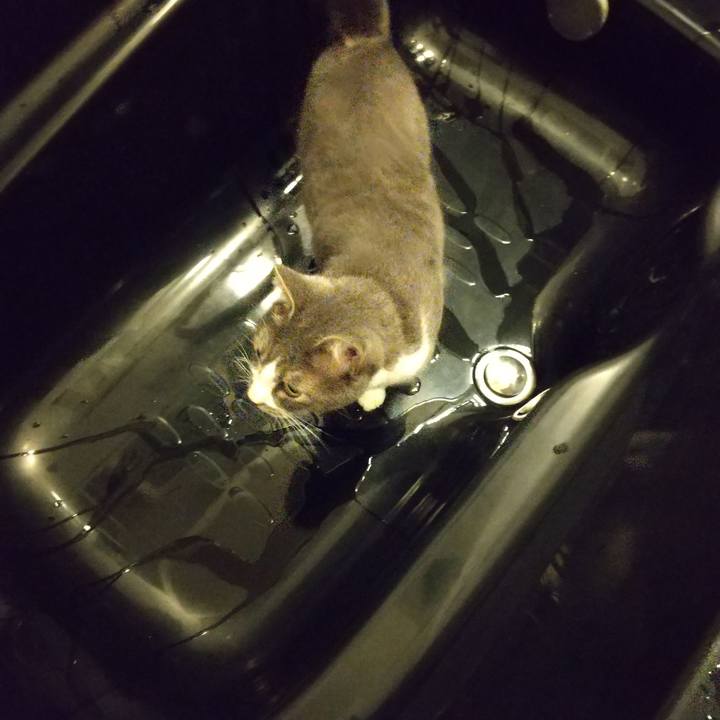 E330a30c e3e3 416f aba6 504cb37fffcd 1603547432469