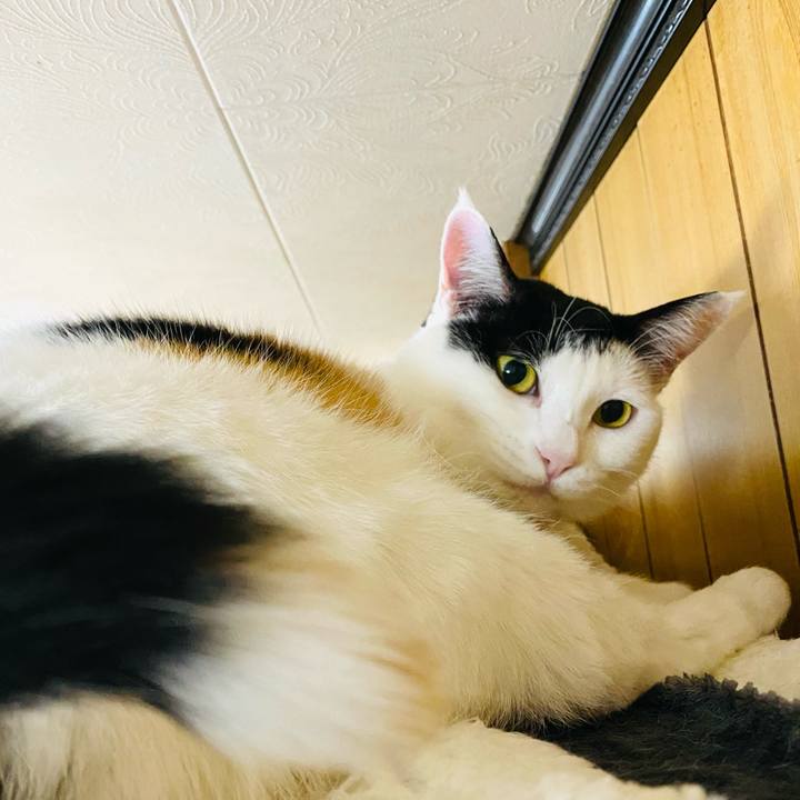 E330d304 5123 4370 9a04 f01140ffe885 1672437630399