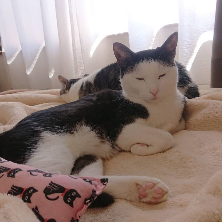 E330d4a4 6fac 4107 b024 2dca5fd71140 1554383718137