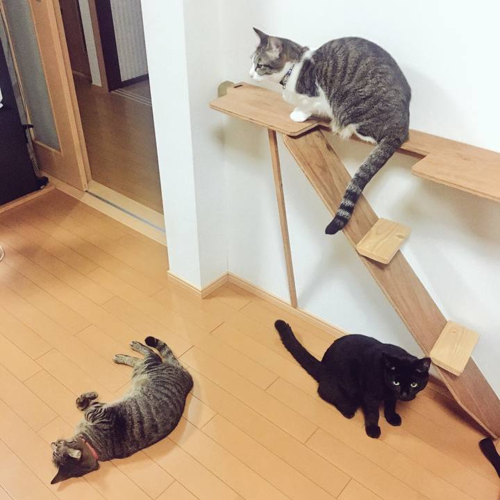 E330d91f ac33 4643 a2a5 cd93ff91a4df 1537452370300