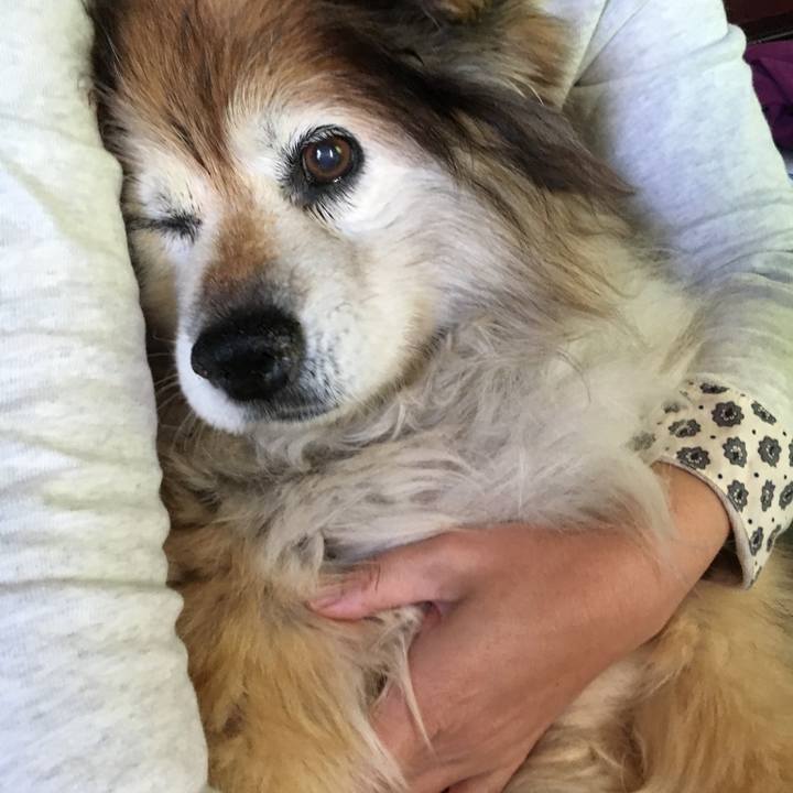 E330e06f 5309 45b4 b60c a93582c450d1 1575012478080