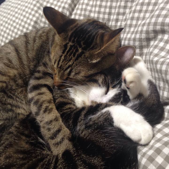 E330fc58 d907 4416 bb50 08001404d92b 1509984520837