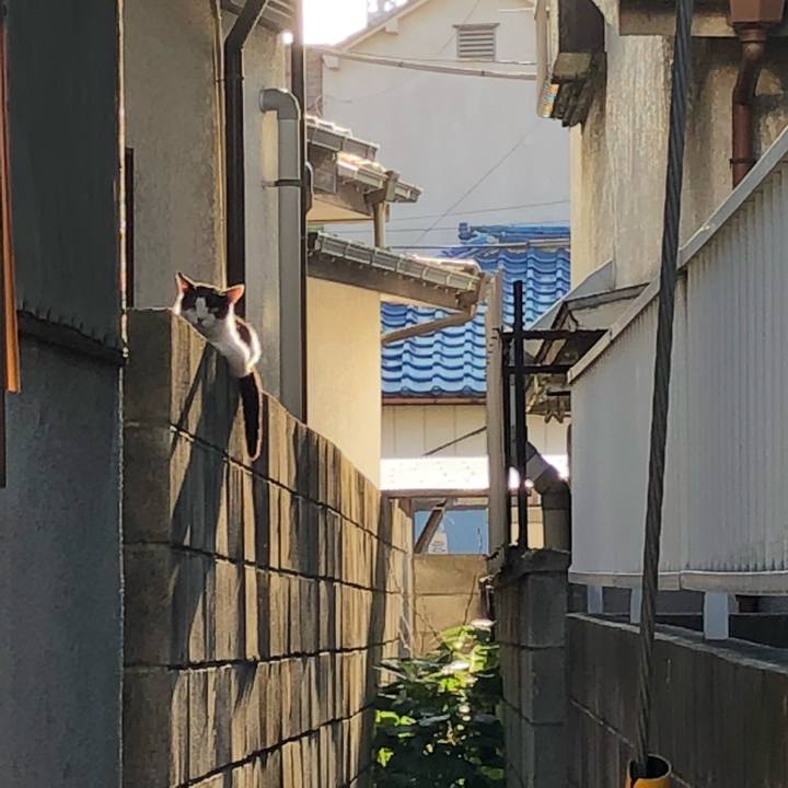 E3312fe8 7a3e 495f adda 57dd0ccdfb77 1532086258404