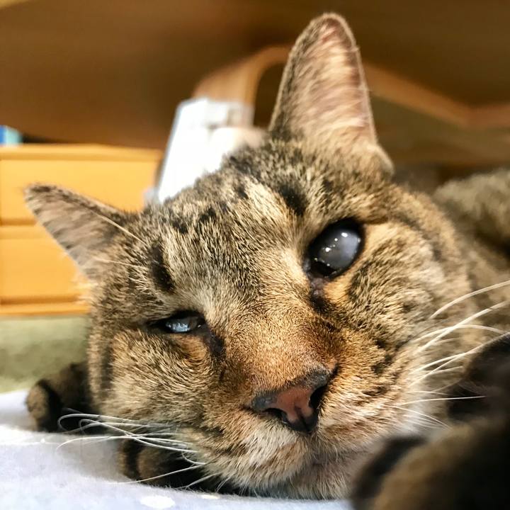 E331551a 7899 4b74 9916 9160f6cc5a1a 1534402224679