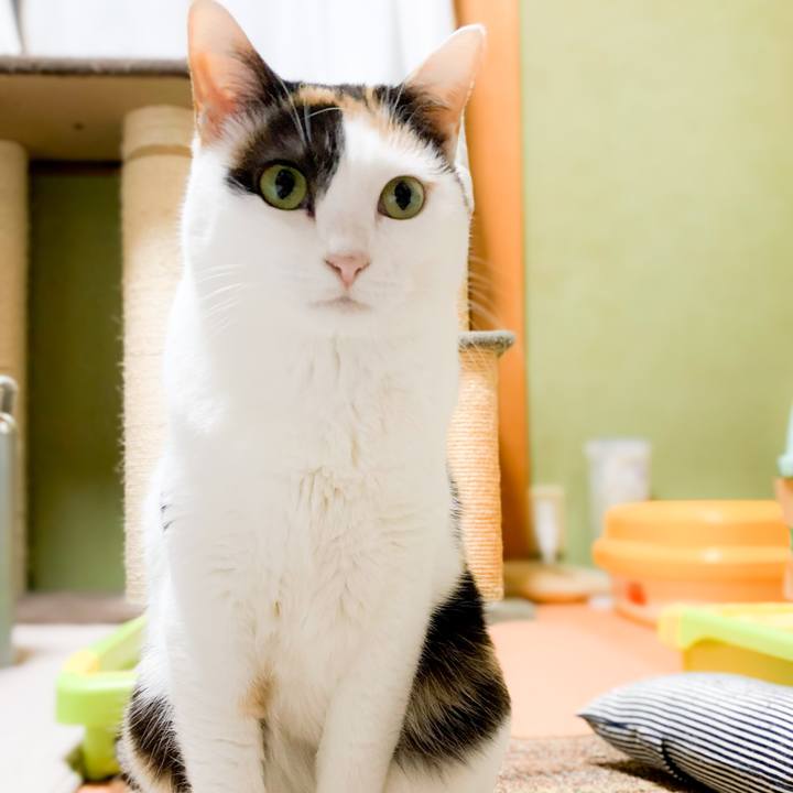 E3315716 6f0b 4d39 9771 cf659eae75d4 1582423537371