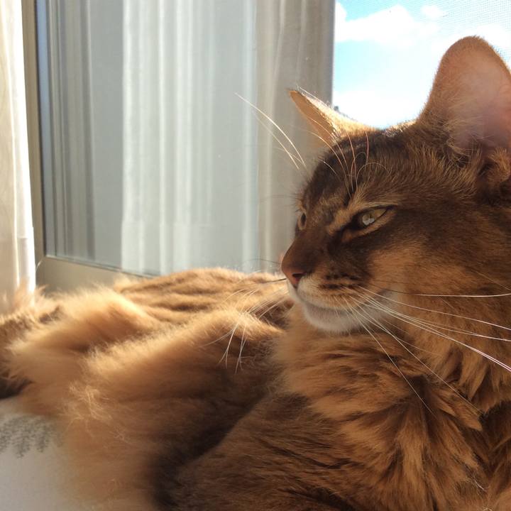 E3316101 8b00 42e0 a025 04980a67ada9 1609469083301