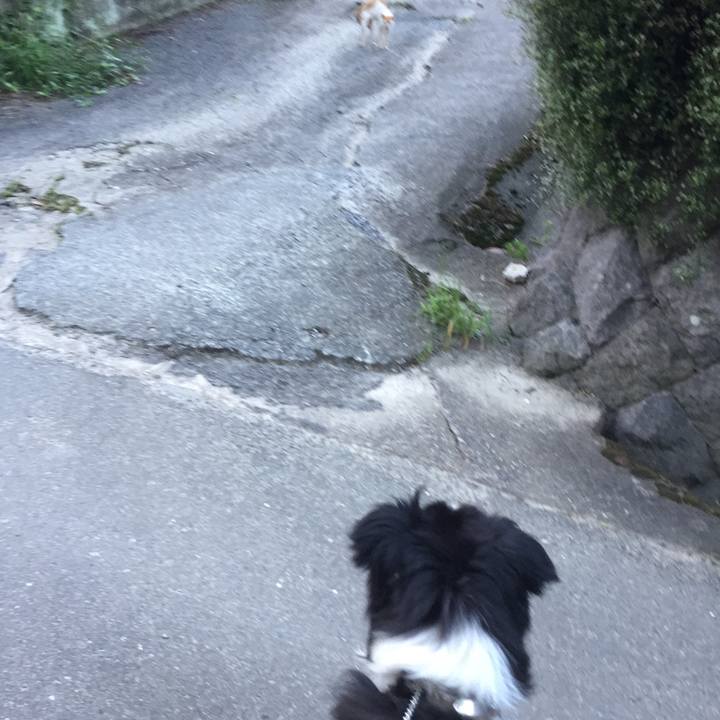 E331c1ee 1b48 44c8 a136 832965615298 1564050882654