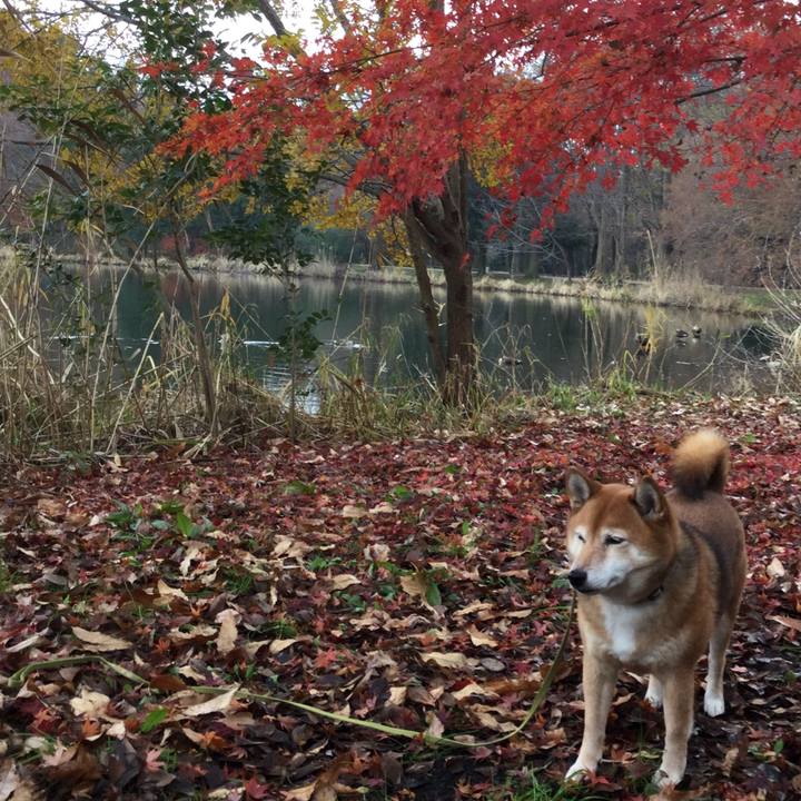 E331c8d5 6583 4573 a2d9 92eac4872a8d 1576654094391