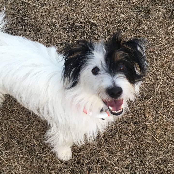 E331e353 c362 4d7d 82a0 4466f8db2bc8 1512943405431