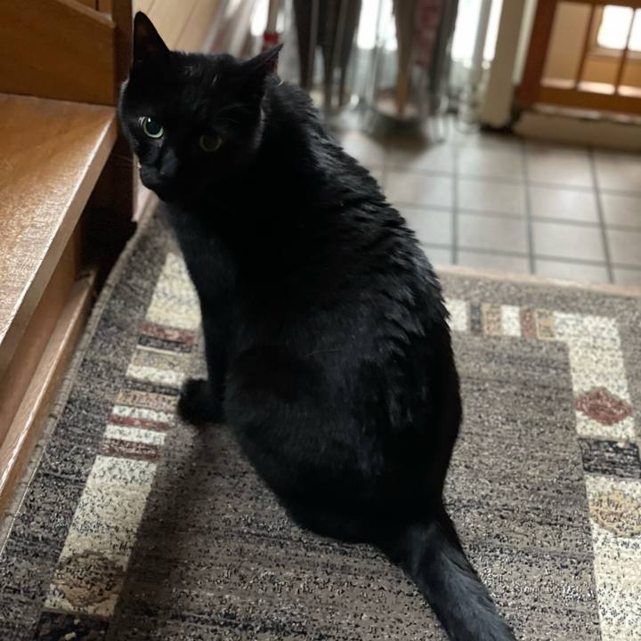 E331ff46 b00e 43d3 b6c6 c02bc8dce1dc 1647827861427