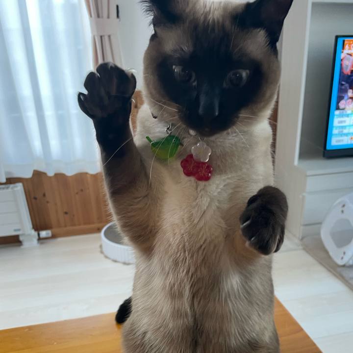 E33216b6 77f9 4a33 b27f 2f4c9ff74d28 1744146285013