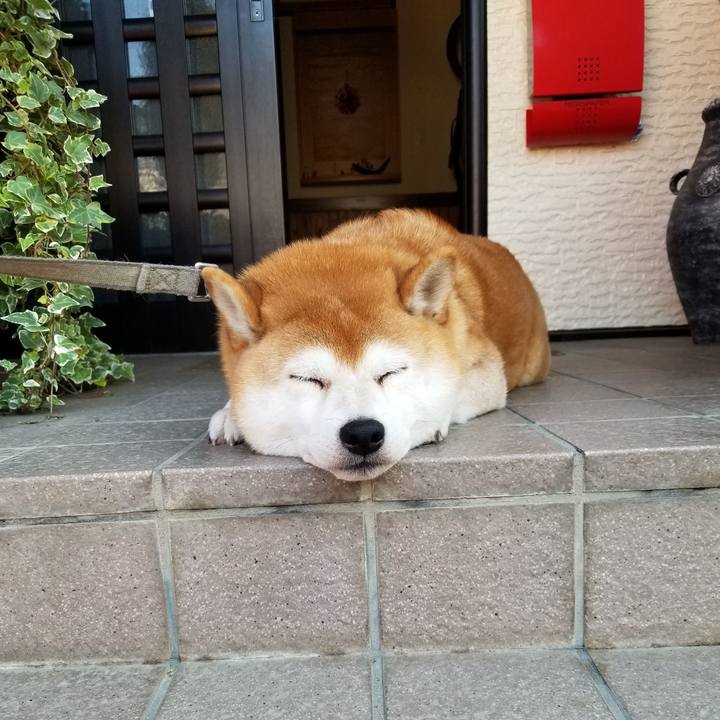 E3321962 864d 455e 9551 e74d2a0d5c46 1572226213767