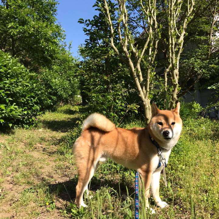 E3322fd5 0285 421a 9e7b 9bc901d293a5 1556956483654