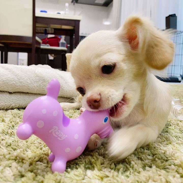 E3323581 ce40 4f3a 8f9f e88ee19d7806 1593502508815