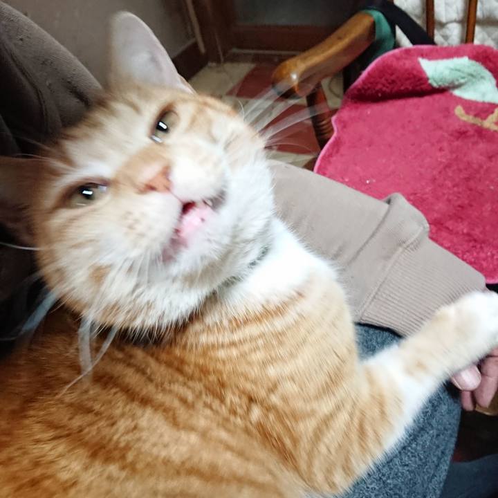 E3325ff3 90fc 4d43 9c6b 4934ec2c8253 1580888270919