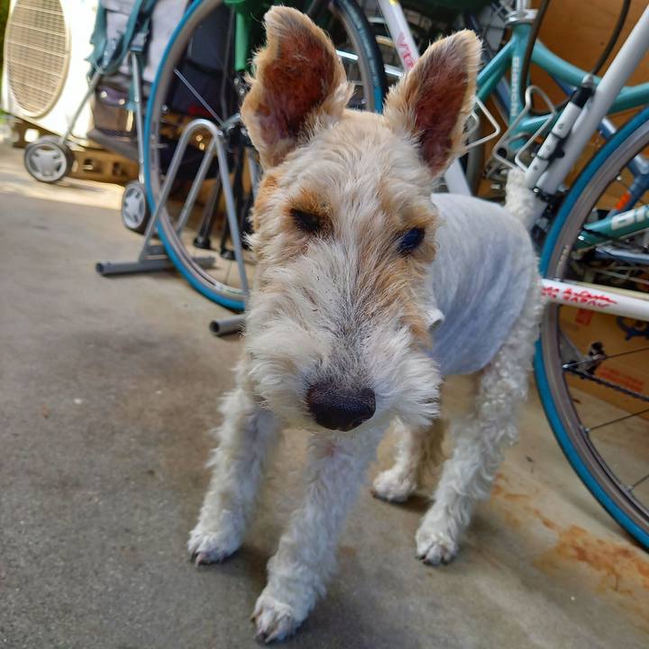 E3329841 72bb 4bc5 9e70 19557e185f89 1653728975897