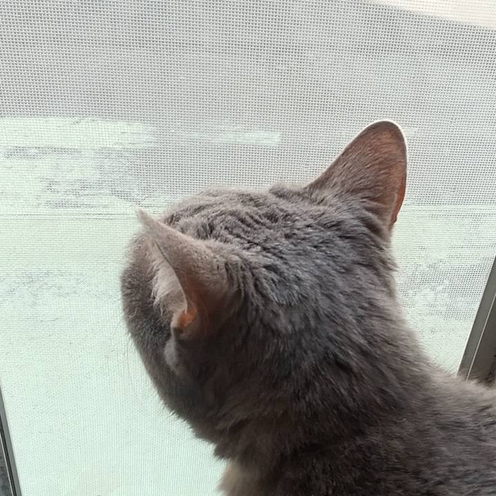 E332b88f 8779 4891 afc0 c80464ae96a5 1652165313718