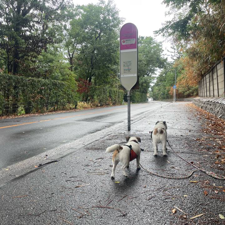 E332c367 c567 4562 8f75 4ee9fac9874b 1694737061623