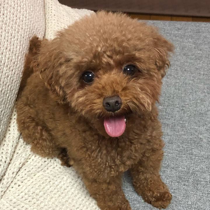 E332ff19 6c55 4c1a 9274 83ad8cbb2a67 1594425337753