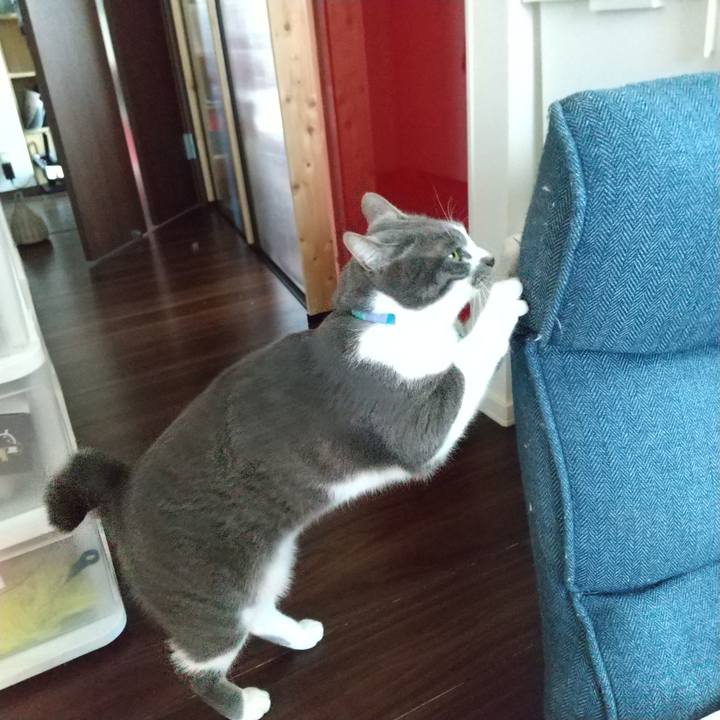 E3331cee abe0 41a7 8826 9b360b7ef520 1643765797739