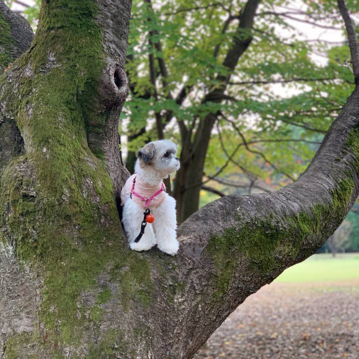 E333264a 8da9 4239 9077 5c4c8727c602 1604286250660