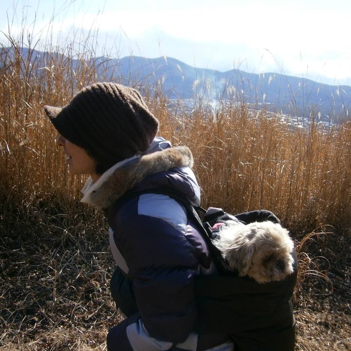 E33345c6 7612 4369 9d4d 361ede1c7431 1508743411377