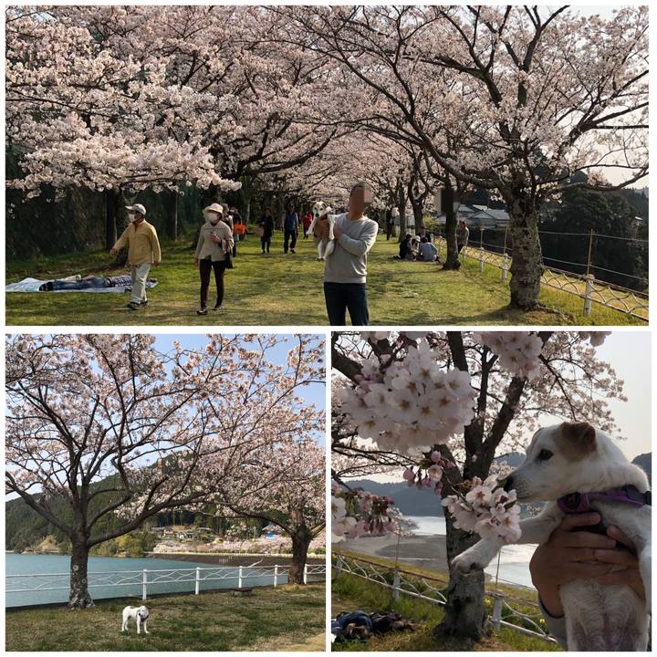 E3337925 a159 4394 86d2 a2d31d05d259 1554643962481