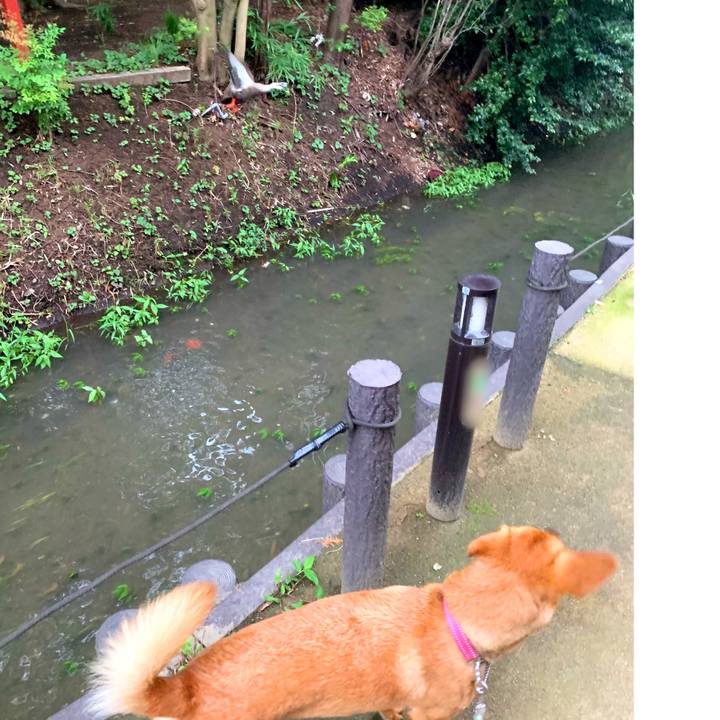 E3338b7e 097a 435c 8311 31af7b55ac33 1562763742159