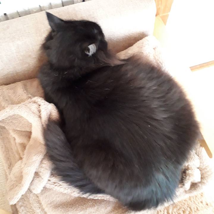 E333939e fad6 4886 adfa 186868b71c30 1519105918988