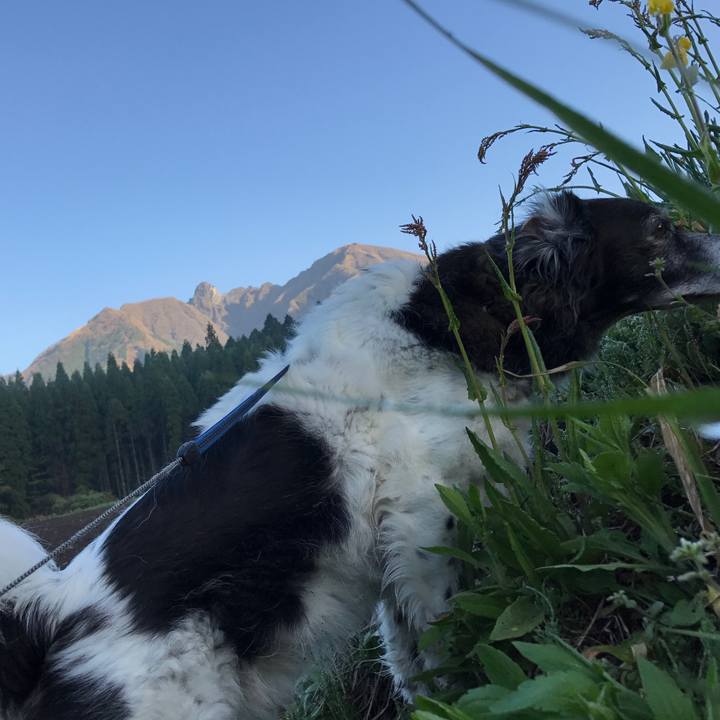 E333b38e ace3 449d bf4a 4b58dfd259d3 1524054617953