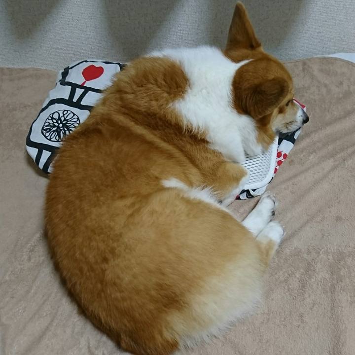 E3340941 d6bc 48af a84f fda7bcb42b64 1539427306048