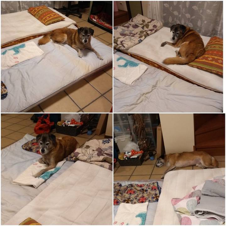 E3341cdc c91a 4605 adc1 77cbc372b9c5 1573362098823