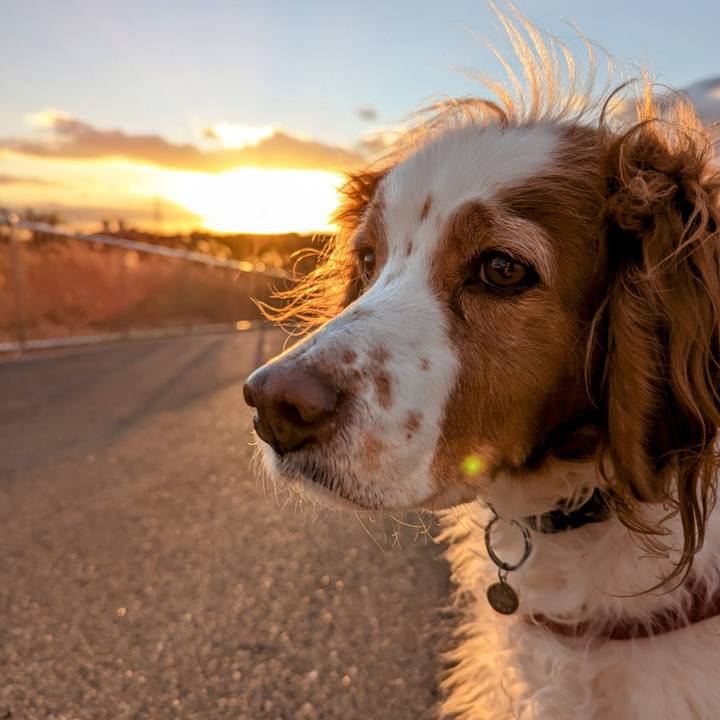 E33422f9 f147 48c3 a3fb 80b1b7d8fb61 1673351725207