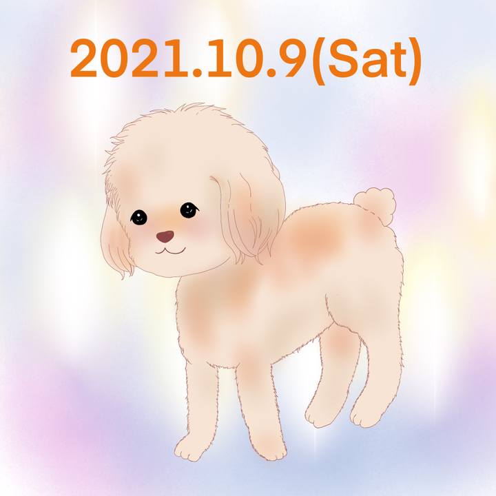E334249f 6935 4774 8168 7484f3204ce2 1633783081127