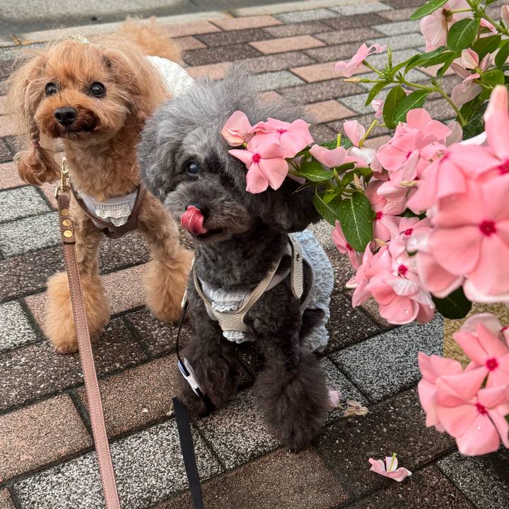 E3343d74 84b5 4745 b2b6 f1fab47a29ed 1757113459292