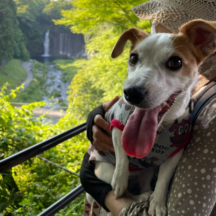 E3347211 5200 46f6 a7d6 a4eba0a77e5d 1623234492155