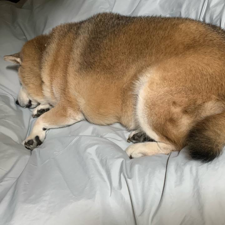 E3349e69 33a9 485f 9db4 e5760640bd2a 1638711015086