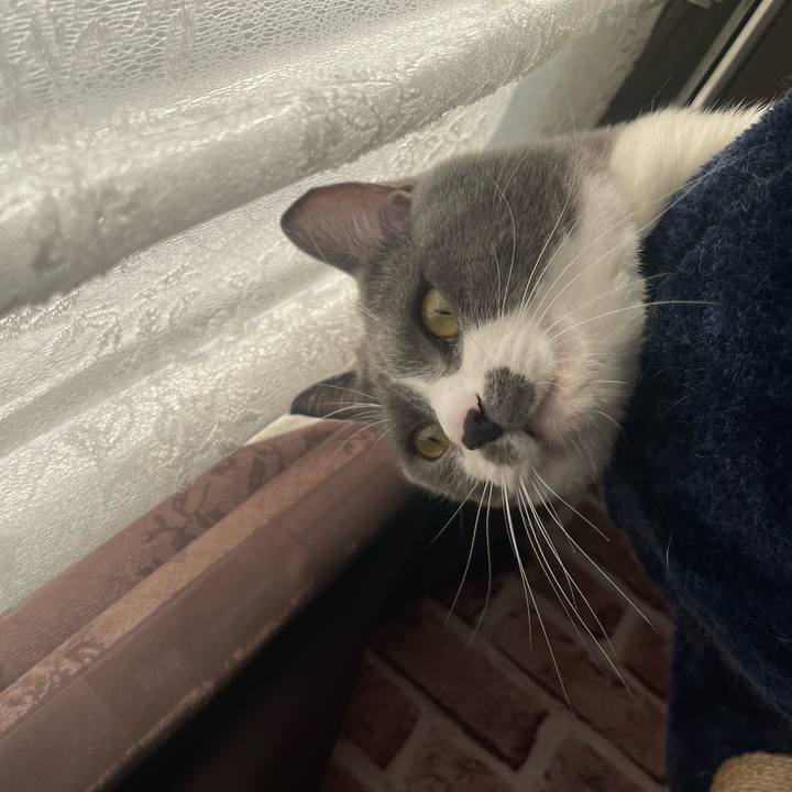 E334b3dd 2989 4df4 b269 582a2be1fffa 1667516765711