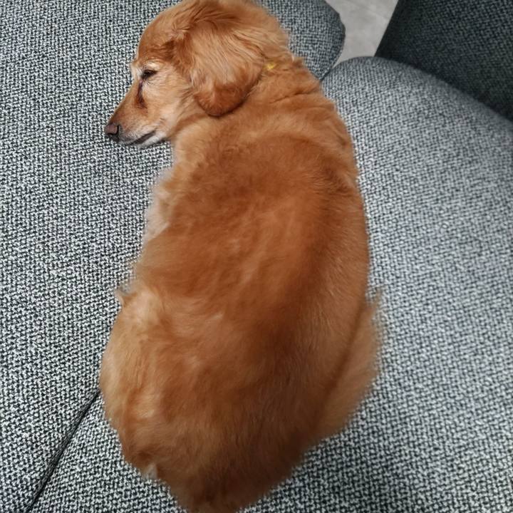 E33513e8 568e 467b a673 87de15fed1b6 1696769824729