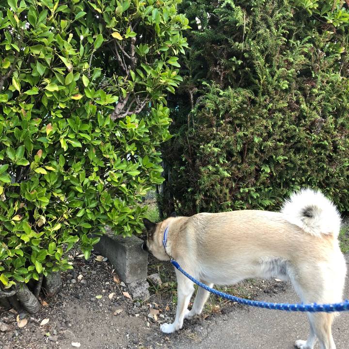 E3351667 6d08 4d88 be7c d52a5556c4ff 1601900875307