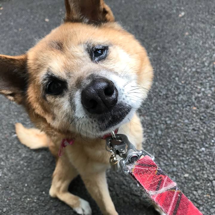 E3357dfe 55a9 405c a028 d0682b625529 1528410804775