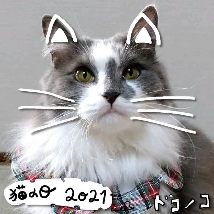 E33580be cac2 4cb1 8d58 bef82e6dc6d6 1613988256892