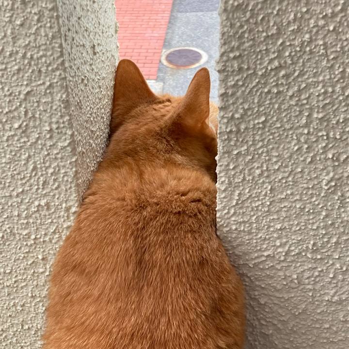 E3359a81 412a 4ca0 8a04 405267f711ba 1757047921121