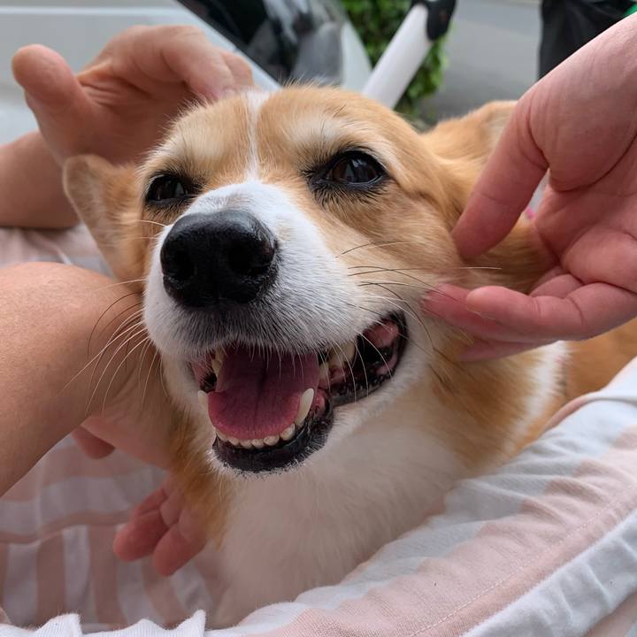 E335dca5 69ee 4cc2 9917 b6e950a91f28 1715826109308